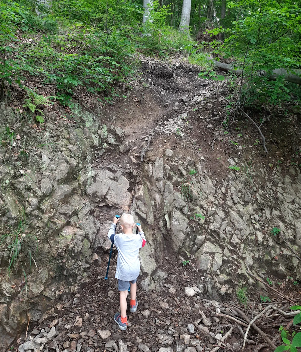 Niebieski szlak na górę Chełmiec, dziecko z kijkami trekkingowymi