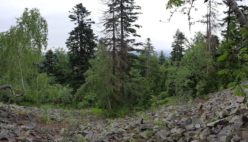 Gołoborze na Łysicy