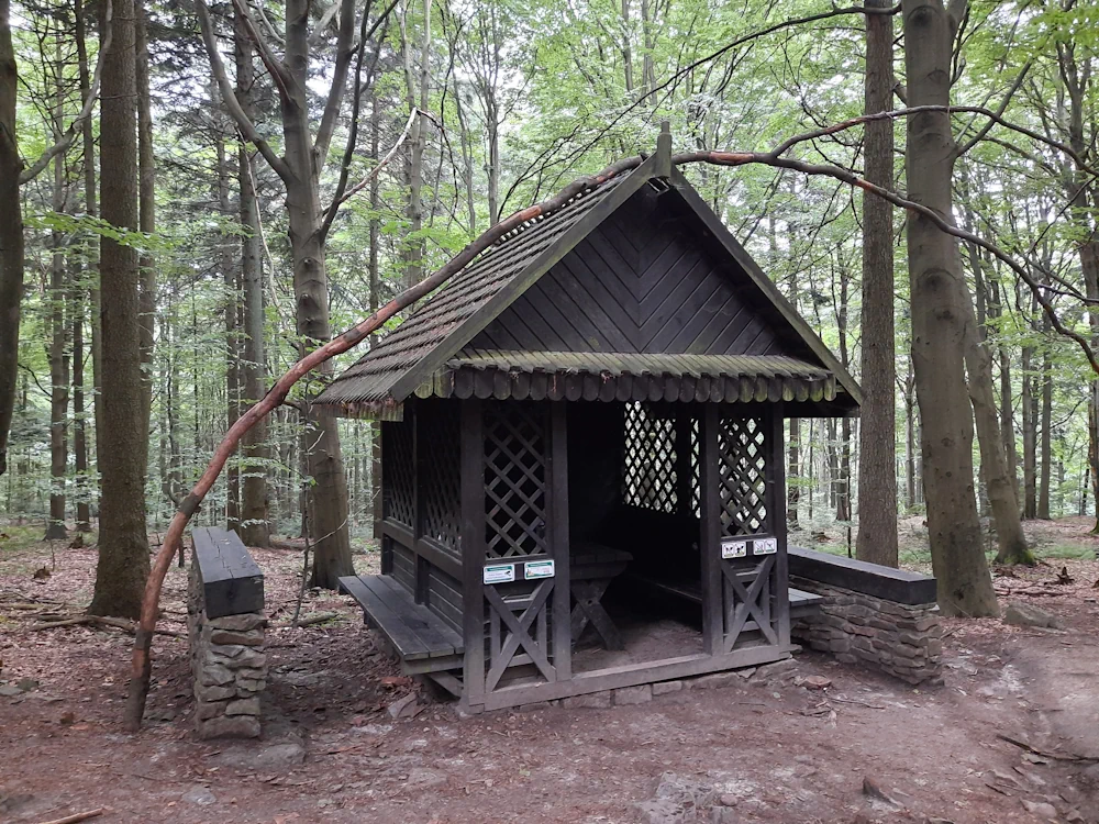 Schron na Łysicy okolice szczytu