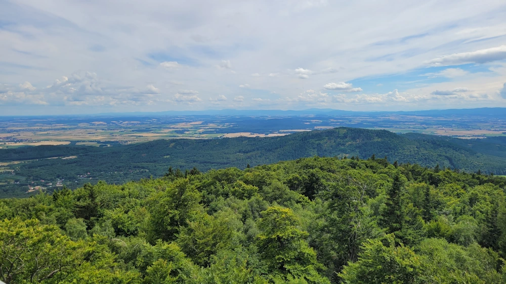 Panorama ze Ślęży z wieży widokowej na okolicę
